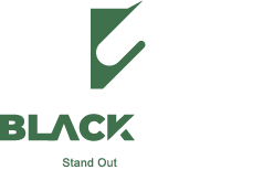 Black Scion | Malaysia's 1 Stop Digital Marketing Agency